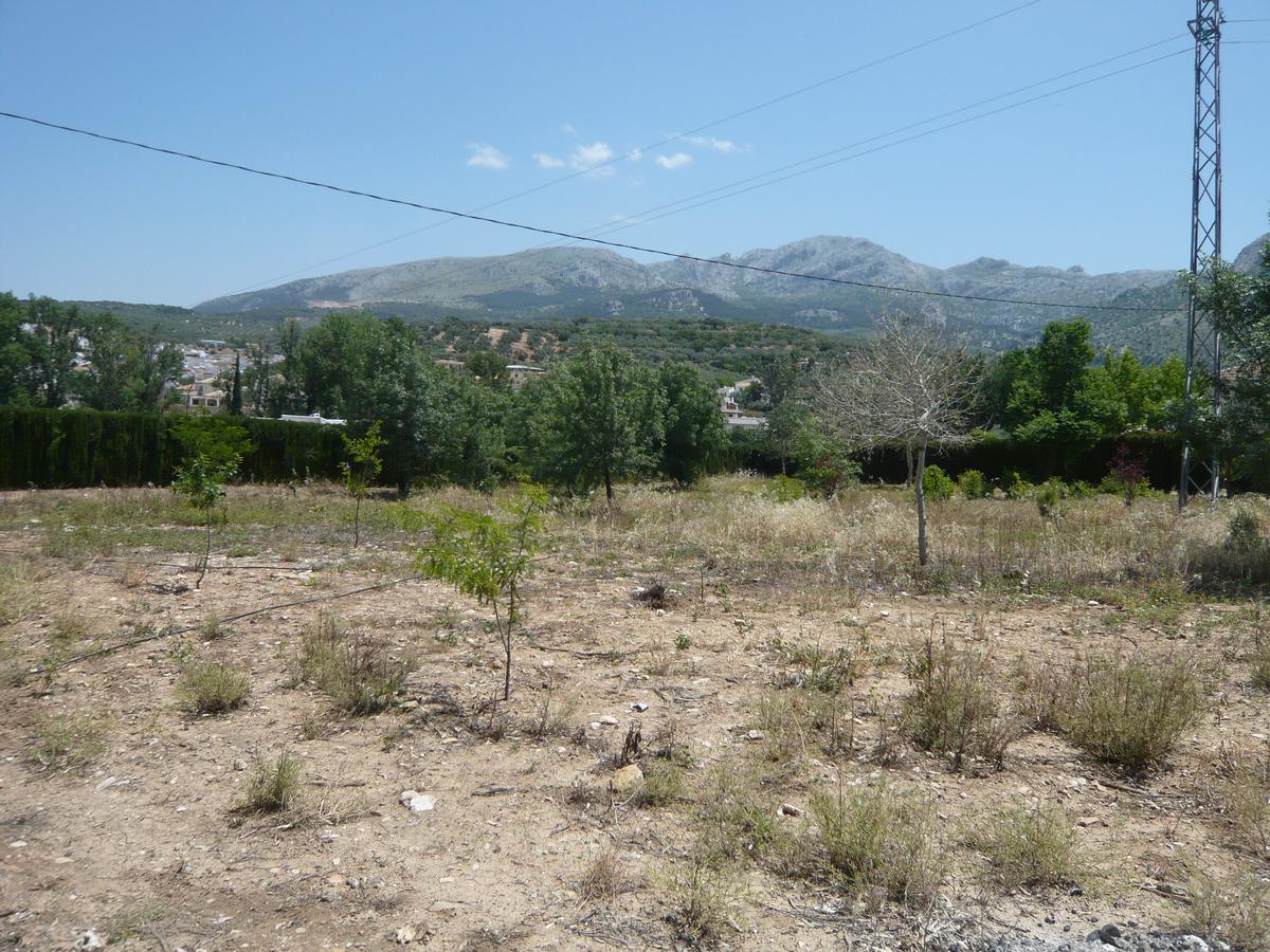 Venta Las Delicias Villanueva del Rosario Dış mekan fotoğraf