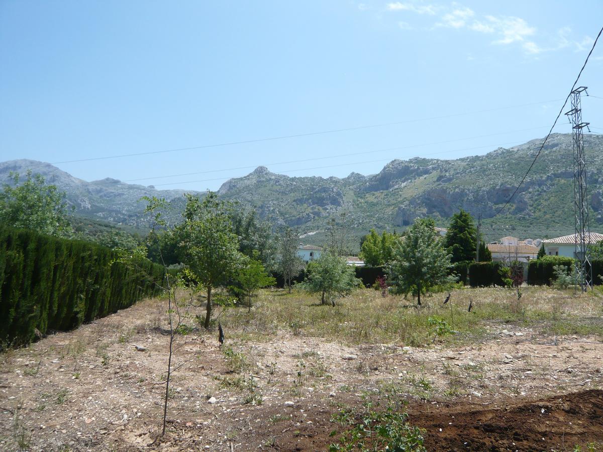 Venta Las Delicias Villanueva del Rosario Dış mekan fotoğraf